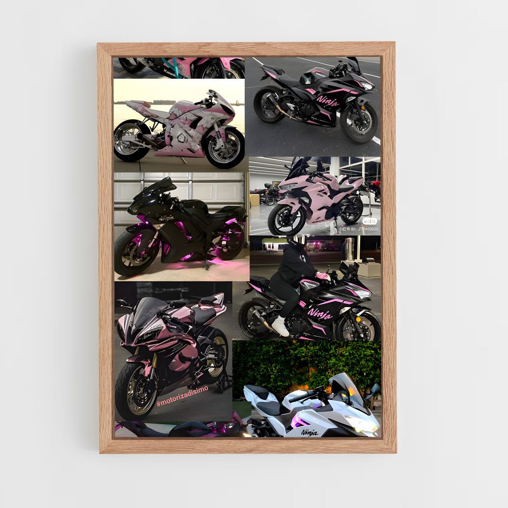 Poster Moto Palette (vue 4)